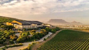 Heineken's Ambitious Plans to Boost Its Wine Brands
