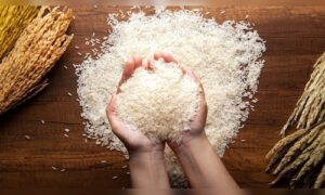 India's Rice Exporters Target ₹1.80 Lakh Cr Market with ₹25,000 Cr MoUs