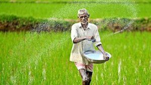 India's Specialty Fertiliser Prices Surge Following China's Export Halt
