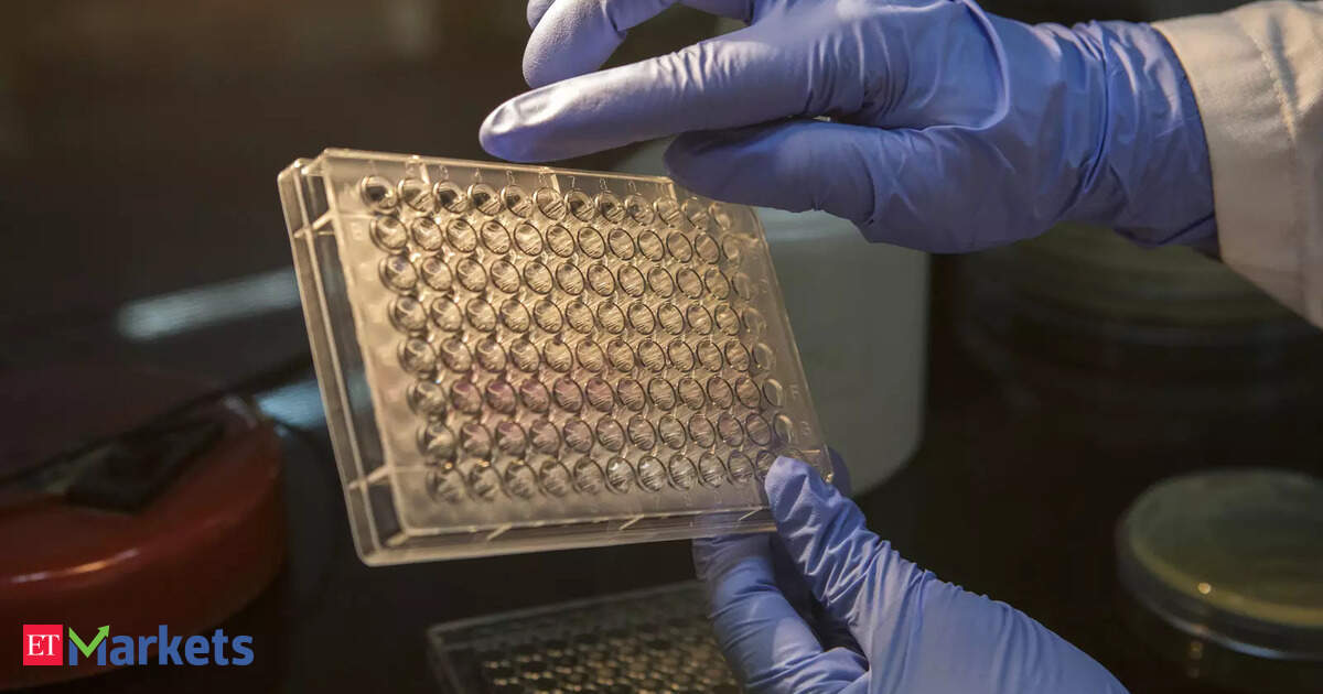 Neuberg Diagnostics Plans $350 Million IPO in India for 2026